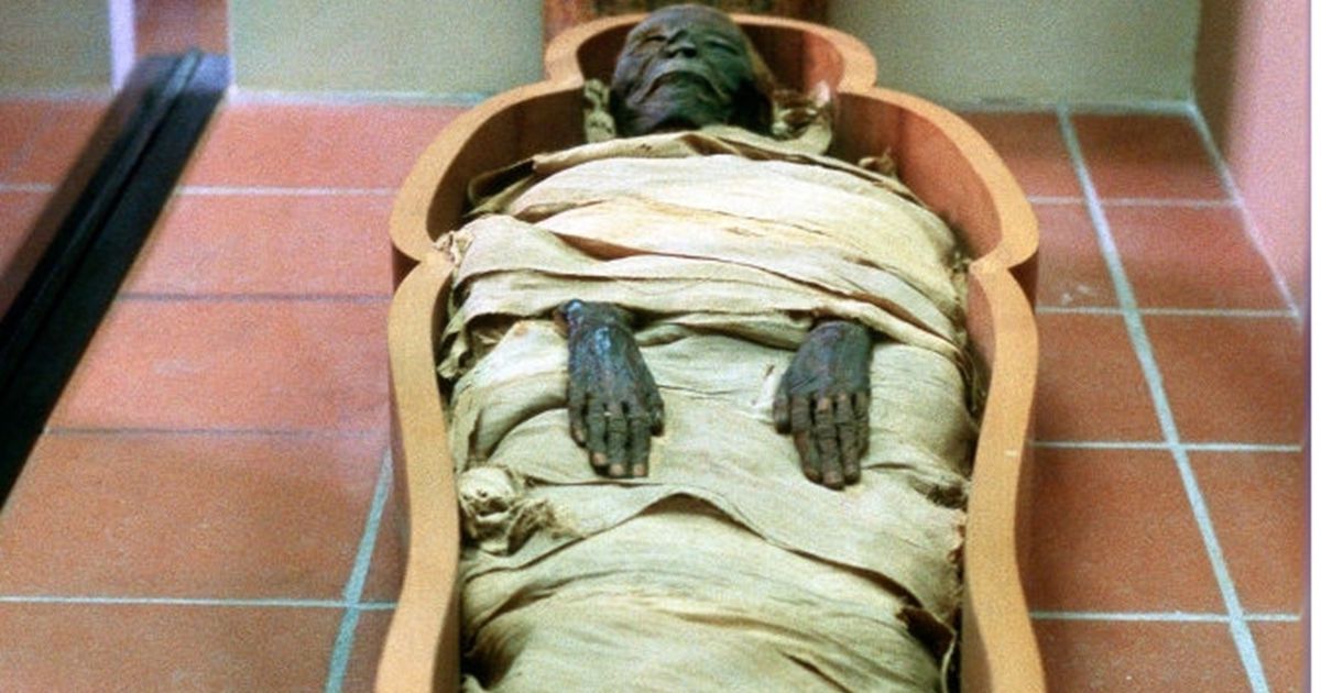 تحليل أقدم حمض نووي ”فرعوني” يكشف مفاجأة - عربي21