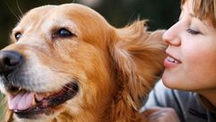 كلاب تساعد في الكشف عن مرض السكري