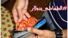 صورة ساخرة - غلاء أسعار الطماطم البندورة - مصر
