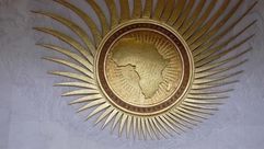 الاتحاد الأفريقي- الأناضول