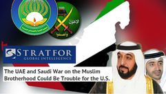 ستراتفور حرب السعودية والإمارات على الإخوان لن تثمر ـ عربي21