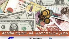 الدولار و الجنية انفوغراف- عربي21
