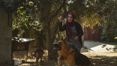 شابة فلسطينية تدرب كلاب- الأناضول