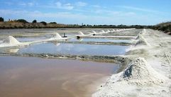 السباخ الملح في تونس