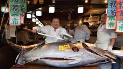 اليابان   سمك    تونة    جيتي