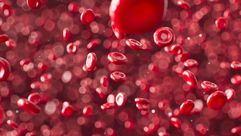 خلايا دم كريات الدم الحمراء CC0