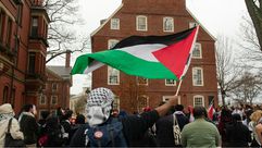 تضامن مع فلسطين هارفارد- جوليان جيوردانو
