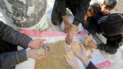 أطفال ينظفون الشوائب من أعلاف الموشي لطحنها وعمل الخبز بسبب انعدام الطعام- جيتي