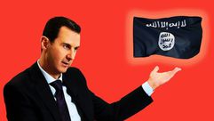 الأسد تنظيم الدولة