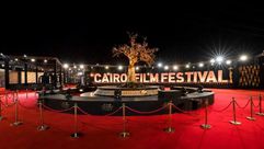مهرجان القاهرة الدولي- موقع المهرجان