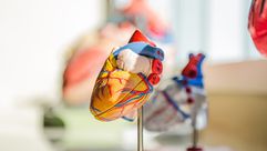 قلب أوعية دموية- CCO