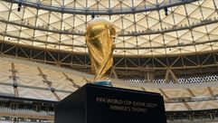 كأس العالم في قطر (الأناضول)