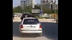 شرطي في غزة- يوتيوب