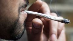 Tunisia - hashish - cannabis
