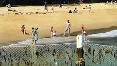 شباك للحماية من اسماك القرش على احد شواطئ سيدني في 29 ايلول/سبتمبر 2017