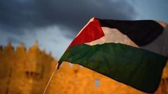 علم فلسطين الأناضول
