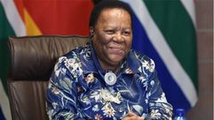 وزيرة خارجية جنوب أفريقيا- صحف جنوب أفريقية