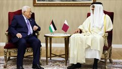 أمير دولة قطر - وكالة الأناضول