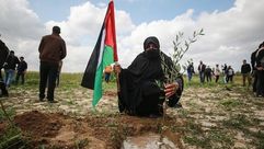 فلسطين النقب زراعة زيتون بمناسبة يوم الارض