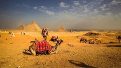 مصر  الأهرامات السياحة- CC0