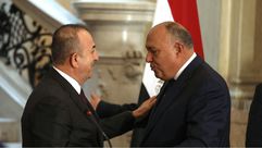 تركيا مصر - الأناضول