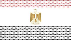 العلاقات الأمريكية المصرية