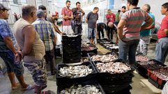 تونس  الأسماك   جيتي