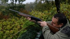 صياد يوجه بندقيته إلى طير حمام في غابة قرب رومانييه في فرنسا في 18 تشرين الأول/أكتوبر 2015