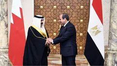 السيسي - فيسبوك / الرئاسة المصرية