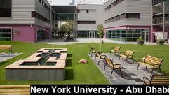 جامعة نيويورك