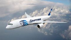 الطائرة المصرية