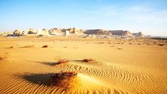 صحراء مصر