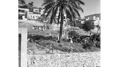قرية طيرة حيفا  قبل عام 1948