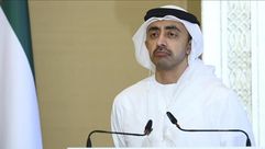 عبد الله بن زايد وزير خارجية الإمارات- الأناضول
