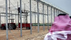 الزراعة في قطر- جيتي