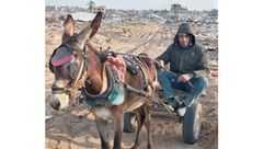 مصطفى أبو السعود- فلسطيني رفح غزة يتفقد بيته المهد على عربة حمار- عربي21