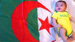 البرازيل  الجزائر مونديال 2014