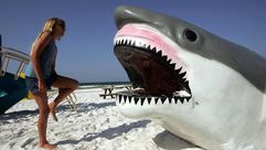 قرش من البلاستيك على شاطئ في فلوريدا في 3 تموز/يوليو 2005
