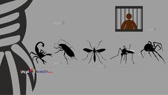 حشرات في سجون إسرائيل - أسرى فلسطينيين