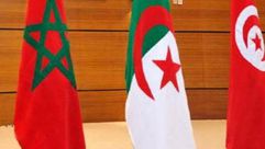 أعلام  تونس  المغرب  الجزائر  (أنترنت)