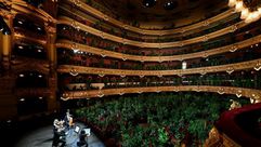 فرقة آلات وترية تعزف لجمهور مؤلف من نبتات في مسرح ليسيو الكبير في برشلونة في 22 جزيران/يونيو 2020