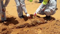 المقابر الجامعية في ليبيا- قوان بركان الغضب