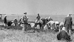 قوات الاحتلال استعانت بطائرة للوكالة اليهودية ورشت أراضي الفلسطينيين بالسموم- أرشيفية