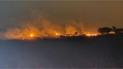 جنوب تركيا - حرائق الغابات - وكالة الأناضول