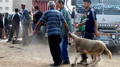 مننبمتنبمتنمببب