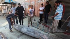 صاروخ إسرائيلي ألقي على غزة ولم ينفجر - الأناضول