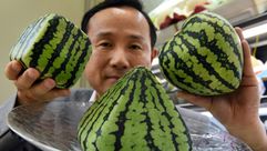 Senior managing director Mototaka Nishimura of the Shibuya Nishimura luxury fruit shop displays squa