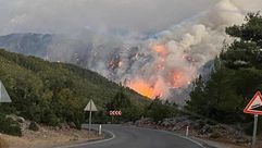 تركيا حريق حرائق غابات الاناضول