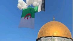 علم الجزائر في القدس