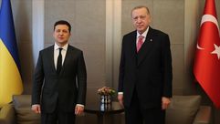 أردوغان وزيلينسكي- الأناضول